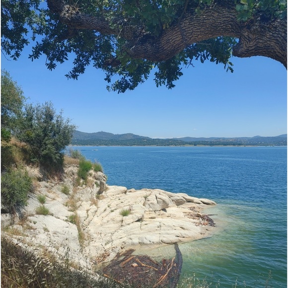 Meet your Posher, Joan - Picture 3 of 6